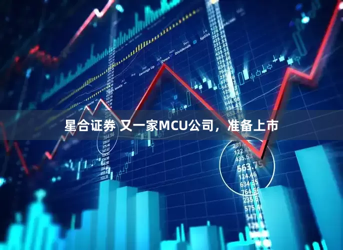 星合证券 又一家MCU公司，准备上市