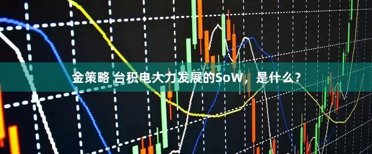 金策略 台积电大力发展的SoW，是什么？