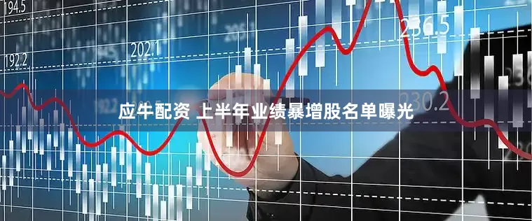 应牛配资 上半年业绩暴增股名单曝光