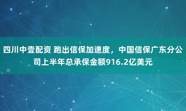 四川中壹配资 跑出信保加速度，中国信保广东分公司上半年总承保金额916.2亿美元