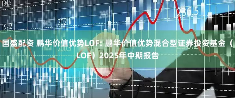 国盛配资 鹏华价值优势LOF: 鹏华价值优势混合型证券投资基金(LOF)2025年中期报告