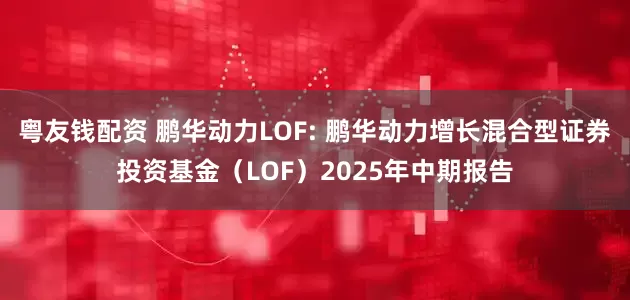 粤友钱配资 鹏华动力LOF: 鹏华动力增长混合型证券投资基金(LOF)2025年中期报告